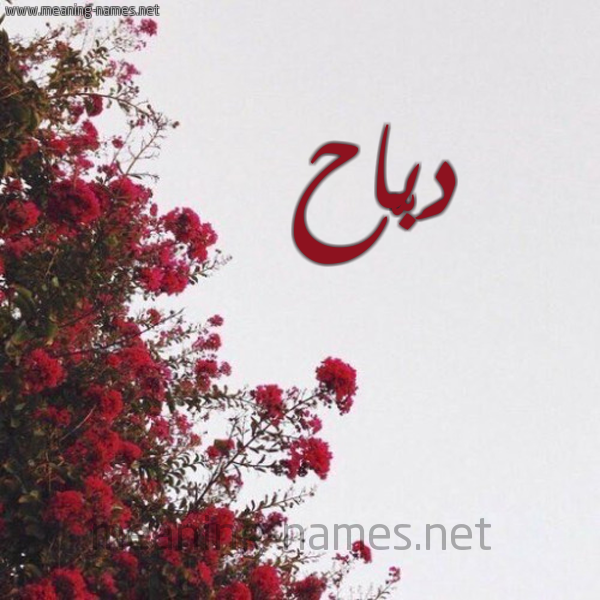 شكل 18 صوره الورد الأحمر للإسم بخط رقعة صورة اسم دَبّاح DABAH