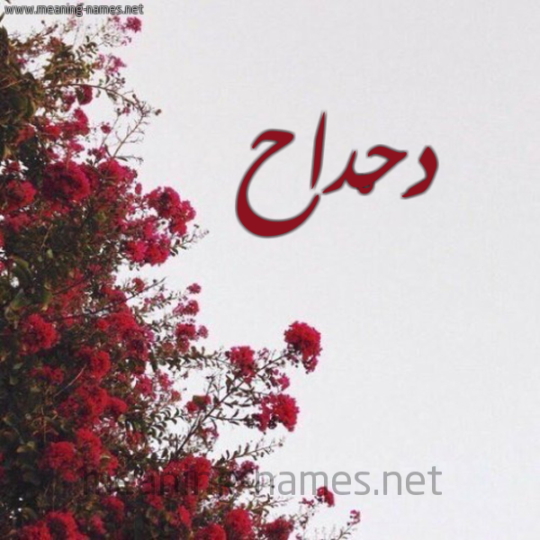 شكل 18 صوره الورد الأحمر للإسم بخط رقعة صورة اسم دَحْداح DAHDAH
