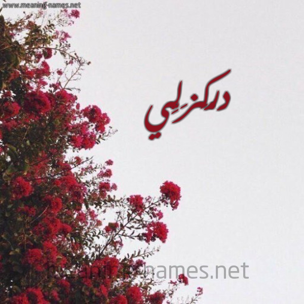 شكل 18 صوره الورد الأحمر للإسم بخط رقعة صورة اسم دَرْكَزَلِّي DARKAZALEI