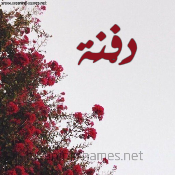 شكل 18 صوره الورد الأحمر للإسم بخط رقعة صورة اسم دَفْنَة Dafna