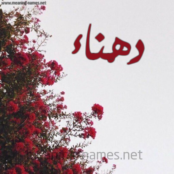 شكل 18 صوره الورد الأحمر للإسم بخط رقعة صورة اسم دَهْناء DAHNAA