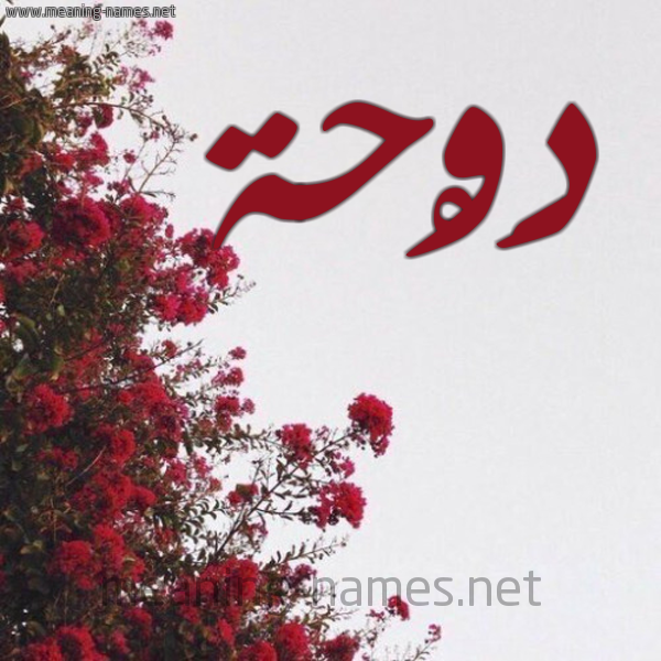 شكل 18 صوره الورد الأحمر للإسم بخط رقعة صورة اسم دَوْحة DAOHH