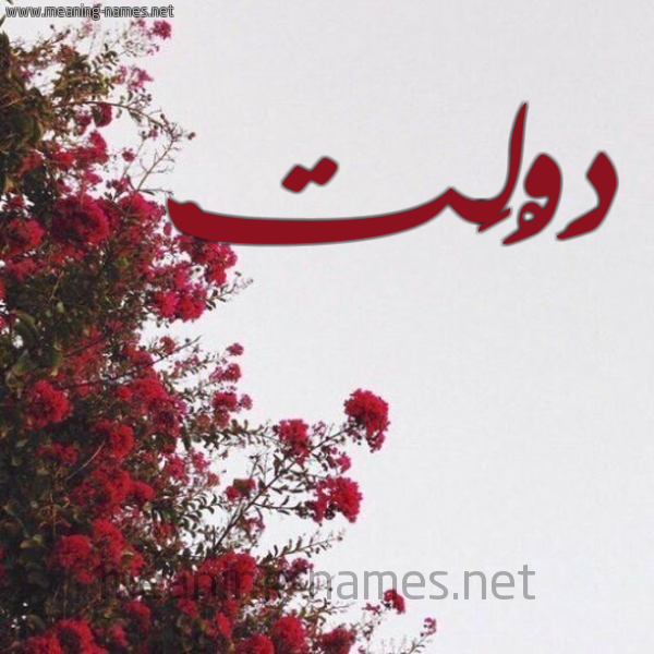 شكل 18 صوره الورد الأحمر للإسم بخط رقعة صورة اسم دَوْلَتْ DAOLAT