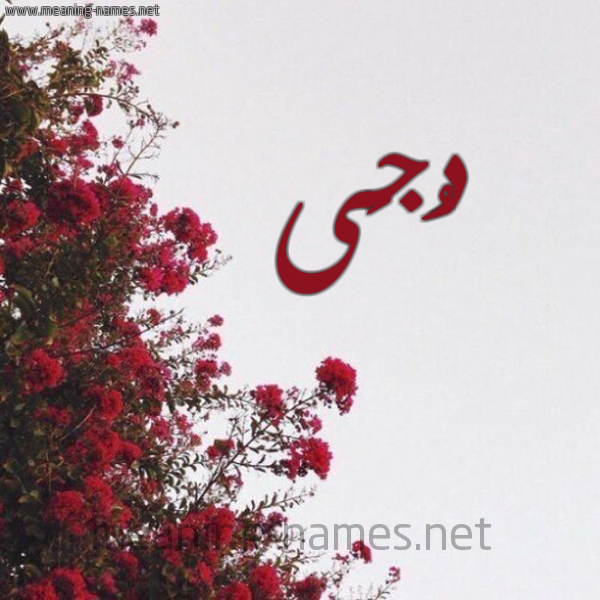 شكل 18 صوره الورد الأحمر للإسم بخط رقعة صورة اسم دُجَى DOGAA