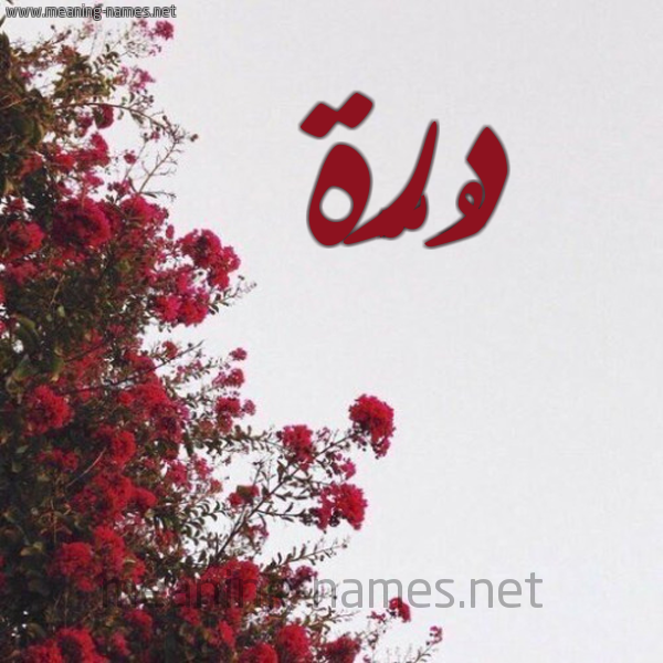 شكل 18 صوره الورد الأحمر للإسم بخط رقعة صورة اسم دُرَّة DORAH