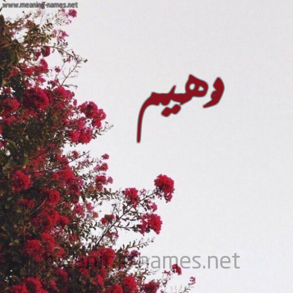 شكل 18 صوره الورد الأحمر للإسم بخط رقعة صورة اسم دُهَيْم DOHAIM
