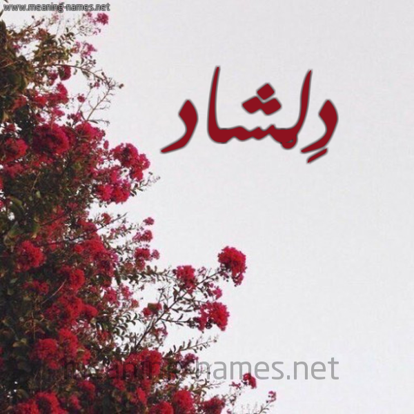 شكل 18 صوره الورد الأحمر للإسم بخط رقعة صورة اسم دِلْشاد DELSHAD
