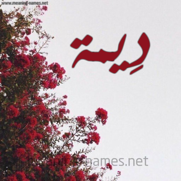 شكل 18 صوره الورد الأحمر للإسم بخط رقعة صورة اسم دِيمة DEIMH