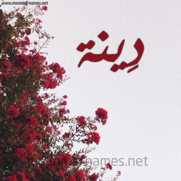 شكل 18 صوره الورد الأحمر للإسم بخط رقعة صورة اسم دِينة DEINH