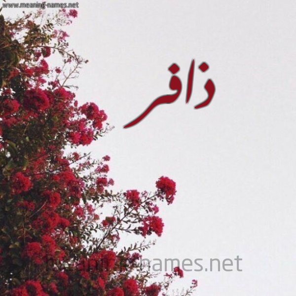 شكل 18 صوره الورد الأحمر للإسم بخط رقعة صورة اسم ذافر Dhafr