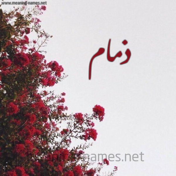 شكل 18 صوره الورد الأحمر للإسم بخط رقعة صورة اسم ذمام ذمَام-Dhmam