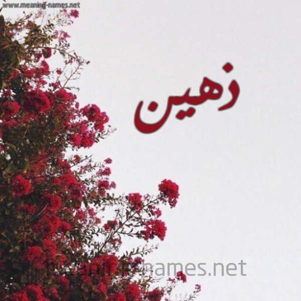 شكل 18 صوره الورد الأحمر للإسم بخط رقعة صورة اسم ذهين Dhhyn