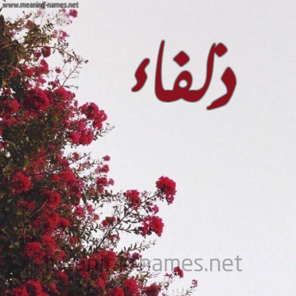 شكل 18 صوره الورد الأحمر للإسم بخط رقعة صورة اسم ذَلفاء ZALFAA