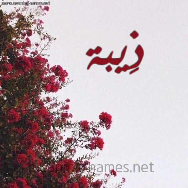 شكل 18 صوره الورد الأحمر للإسم بخط رقعة صورة اسم ذِيبة ZEIBH
