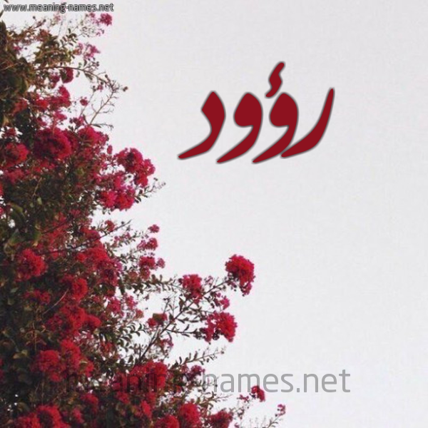 شكل 18 صوره الورد الأحمر للإسم بخط رقعة صورة اسم رؤود Raood