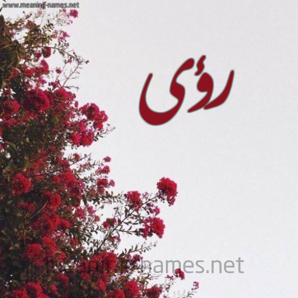 شكل 18 صوره الورد الأحمر للإسم بخط رقعة صورة اسم رؤى Roaa