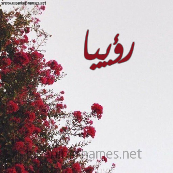 شكل 18 صوره الورد الأحمر للإسم بخط رقعة صورة اسم رؤييا Rooya
