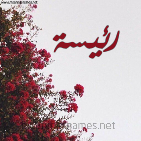 شكل 18 صوره الورد الأحمر للإسم بخط رقعة صورة اسم رئيسة R'iys'h
