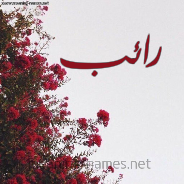 شكل 18 صوره الورد الأحمر للإسم بخط رقعة صورة اسم رائب RAEB