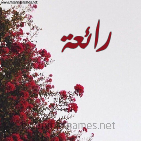 شكل 18 صوره الورد الأحمر للإسم بخط رقعة صورة اسم رائعة Ra'i'h