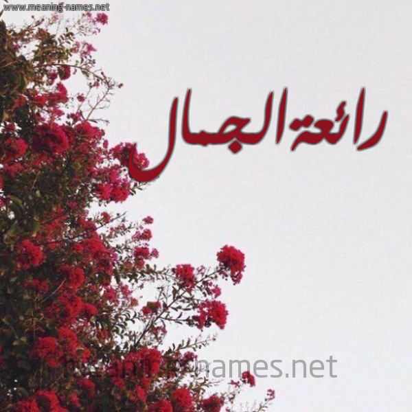 شكل 18 صوره الورد الأحمر للإسم بخط رقعة صورة اسم رائعةالجمال Ra'i'haljmal