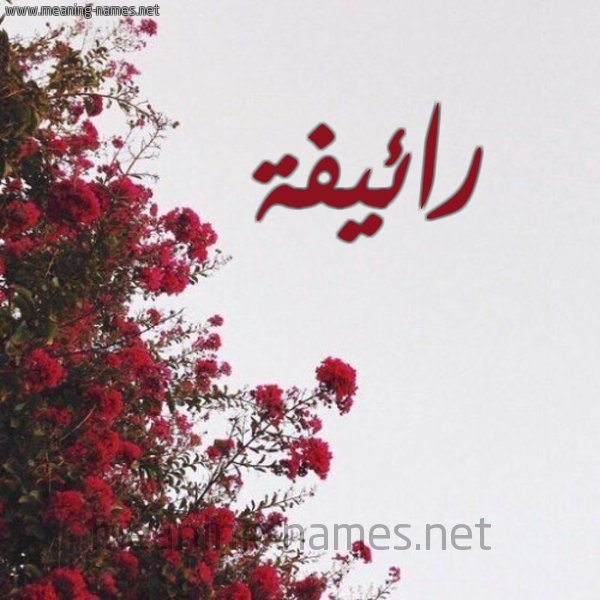 شكل 18 صوره الورد الأحمر للإسم بخط رقعة صورة اسم رائيفة Raefa
