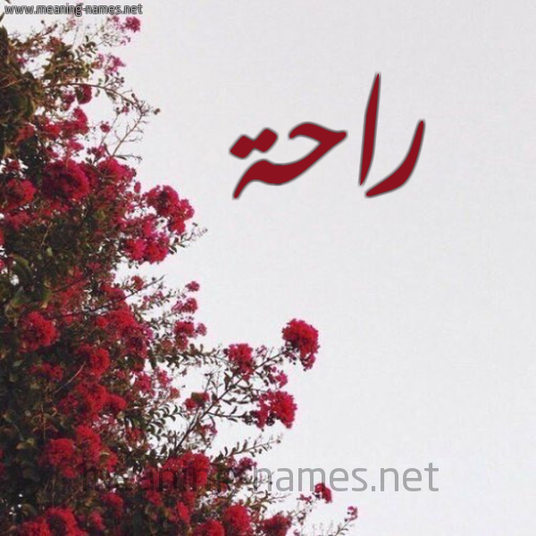 شكل 18 صوره الورد الأحمر للإسم بخط رقعة صورة اسم راحة RAHH