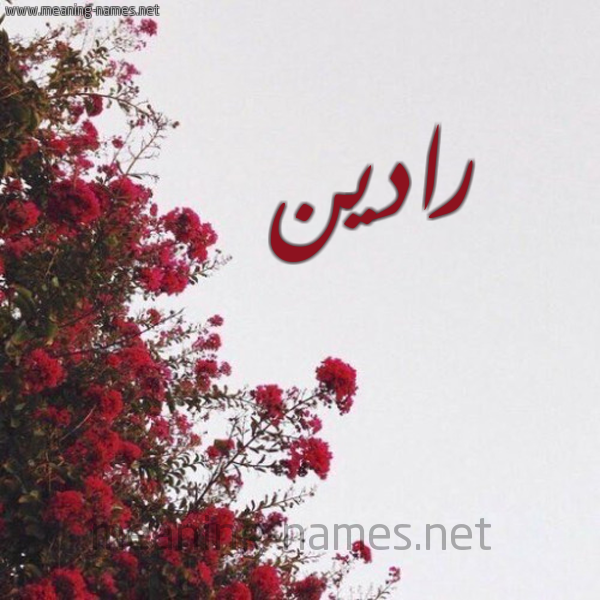 شكل 18 صوره الورد الأحمر للإسم بخط رقعة صورة اسم رادين Raddan