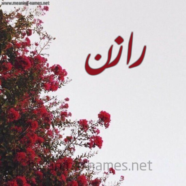 شكل 18 صوره الورد الأحمر للإسم بخط رقعة صورة اسم رازن Razen