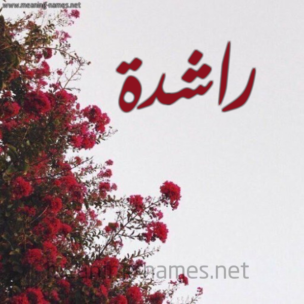 شكل 18 صوره الورد الأحمر للإسم بخط رقعة صورة اسم راشدة Rashd'h
