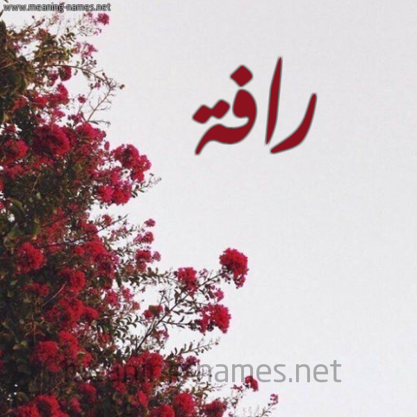 شكل 18 صوره الورد الأحمر للإسم بخط رقعة صورة اسم رافة RAFH