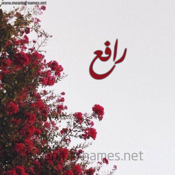 شكل 18 صوره الورد الأحمر للإسم بخط رقعة صورة اسم رافع Rafea