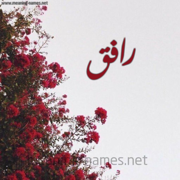 شكل 18 صوره الورد الأحمر للإسم بخط رقعة صورة اسم رافق RAFQ