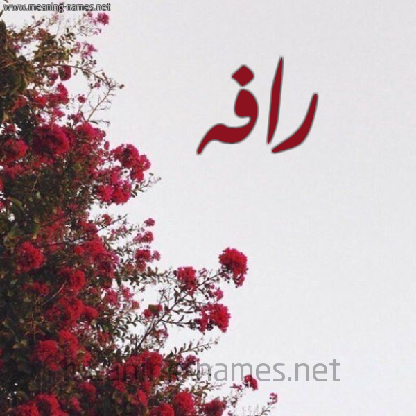 شكل 18 صوره الورد الأحمر للإسم بخط رقعة صورة اسم رافه Rafh