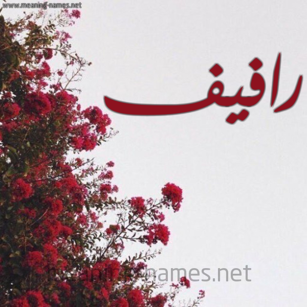 شكل 18 صوره الورد الأحمر للإسم بخط رقعة صورة اسم رافيف Rafeef