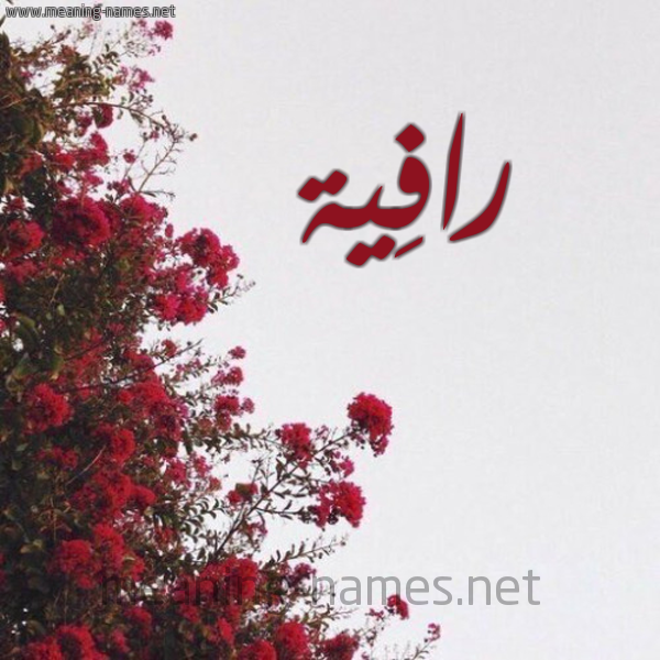 شكل 18 صوره الورد الأحمر للإسم بخط رقعة صورة اسم رافِية RAFEIH