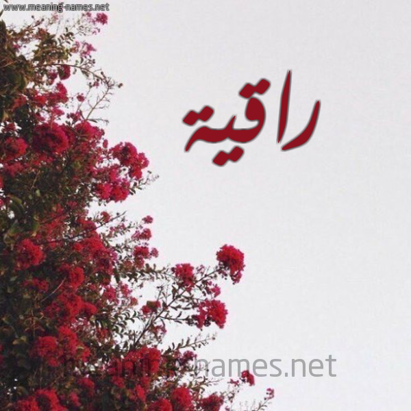 شكل 18 صوره الورد الأحمر للإسم بخط رقعة صورة اسم راقية RAQIa