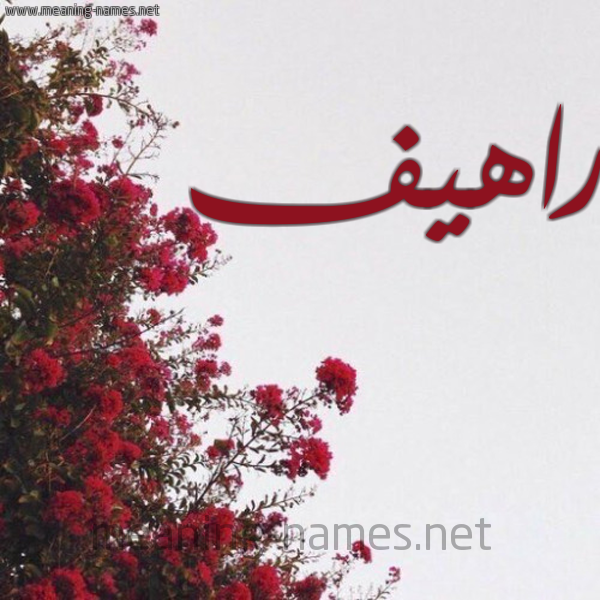 شكل 18 صوره الورد الأحمر للإسم بخط رقعة صورة اسم راهيف Rahif