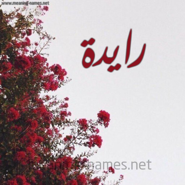 شكل 18 صوره الورد الأحمر للإسم بخط رقعة صورة اسم رايدة Raydah