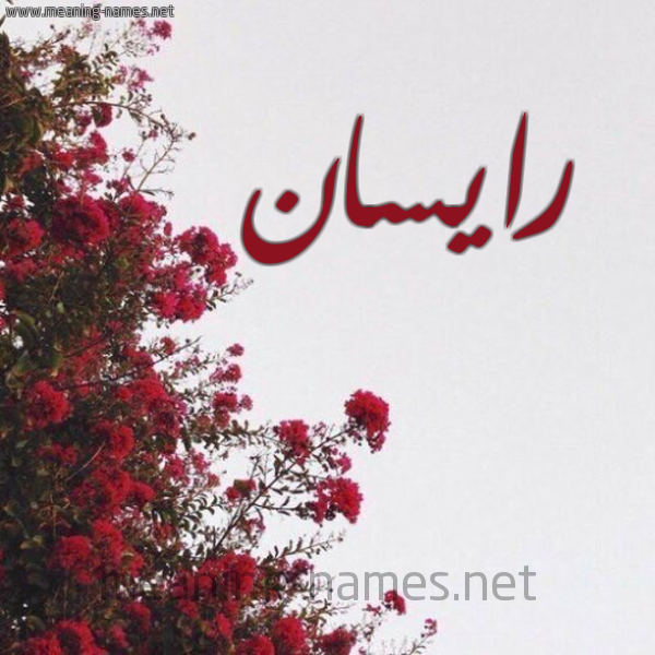 شكل 18 صوره الورد الأحمر للإسم بخط رقعة صورة اسم رايسان Resian