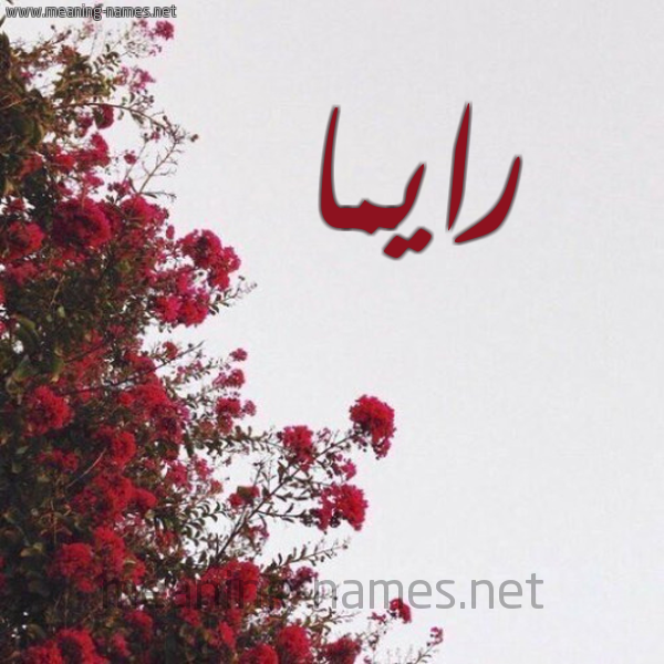شكل 18 صوره الورد الأحمر للإسم بخط رقعة صورة اسم رايما Reema