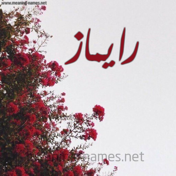 شكل 18 صوره الورد الأحمر للإسم بخط رقعة صورة اسم رايماز Rimaz