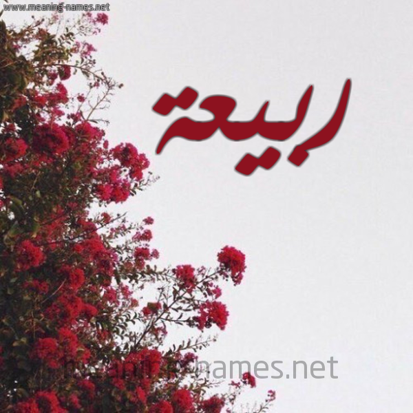 شكل 18 صوره الورد الأحمر للإسم بخط رقعة صورة اسم ربيعة Rbeha