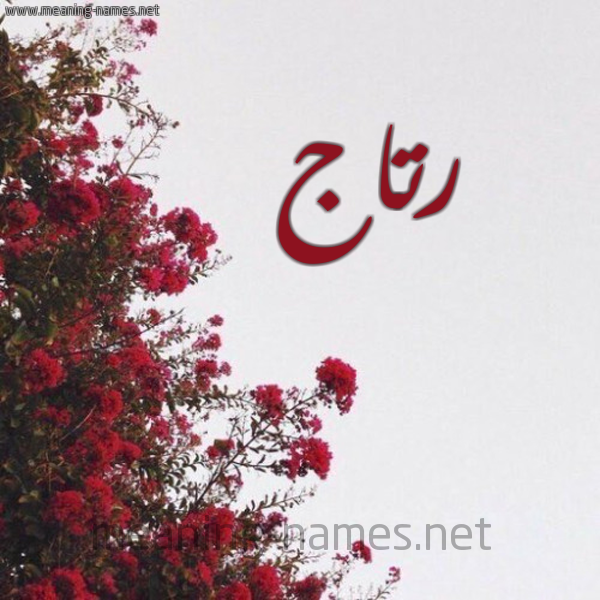 شكل 18 صوره الورد الأحمر للإسم بخط رقعة صورة اسم رتاج Rtaj