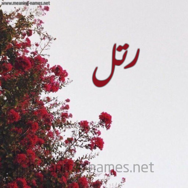 شكل 18 صوره الورد الأحمر للإسم بخط رقعة صورة اسم رتل Rtl