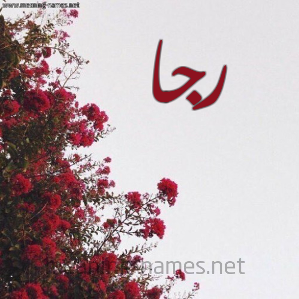 شكل 18 صوره الورد الأحمر للإسم بخط رقعة صورة اسم رجا RGA