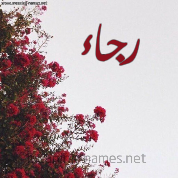 شكل 18 صوره الورد الأحمر للإسم بخط رقعة صورة اسم رجاء Rjaa