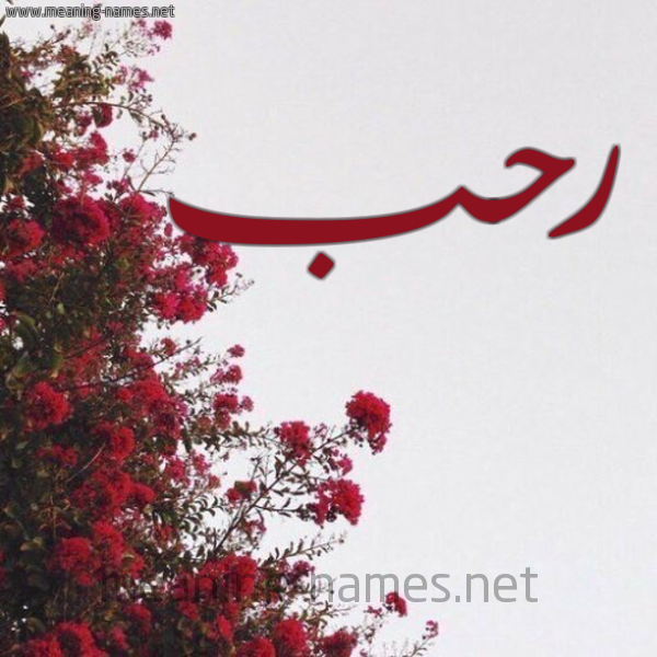 شكل 18 صوره الورد الأحمر للإسم بخط رقعة صورة اسم رحب Rhb