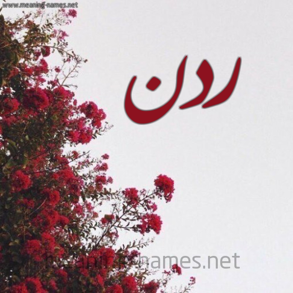 شكل 18 صوره الورد الأحمر للإسم بخط رقعة صورة اسم ردن Rdn