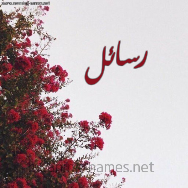 شكل 18 صوره الورد الأحمر للإسم بخط رقعة صورة اسم رسائل Rsael